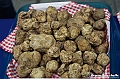 VBS_6947 - Fiera dei Santi - 12.ma Fiera Nazionale del Tartufo